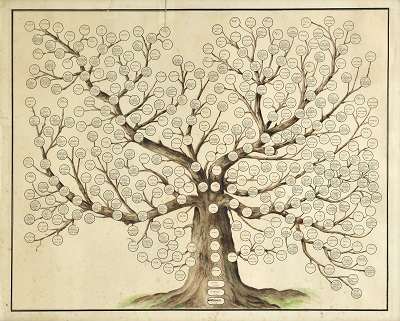 family tree reducido